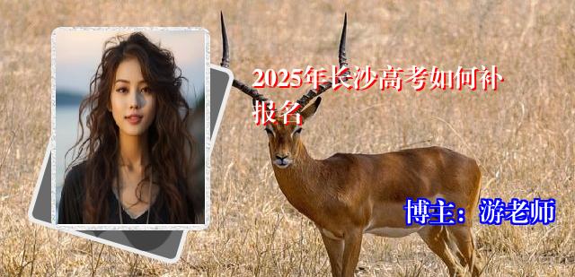 2025年长沙高考如何补报名