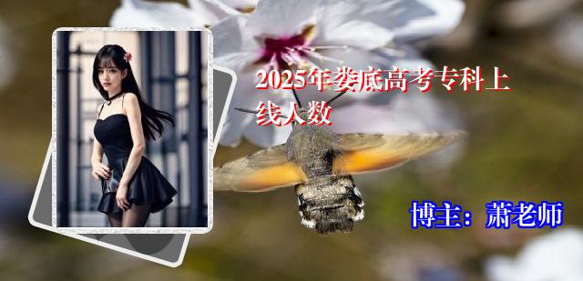 2025年娄底高考专科上线人数
