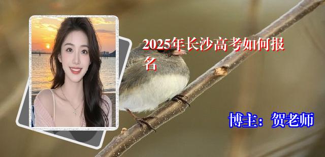 2025年长沙高考如何报名