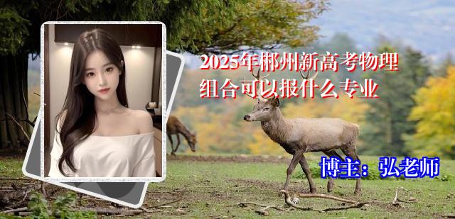 2025年郴州新高考物理组合可以报什么专业