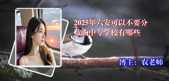 2025年六安可以不要分数的中专学校有哪些