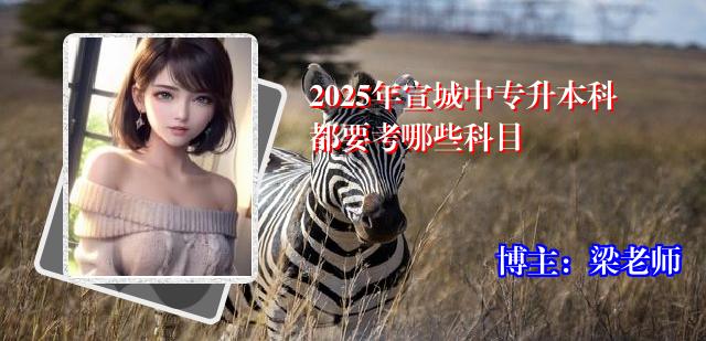 2025年宣城中专升本科都要考哪些科目