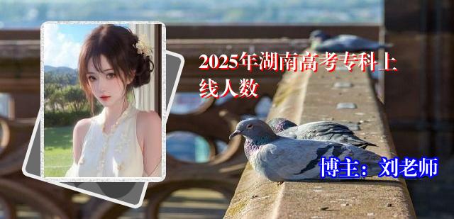 2025年湖南高考专科上线人数