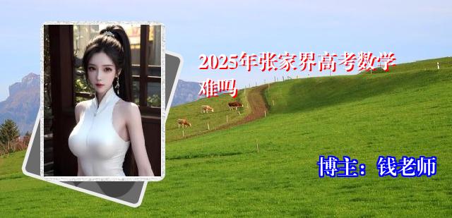 2025年张家界高考数学难吗