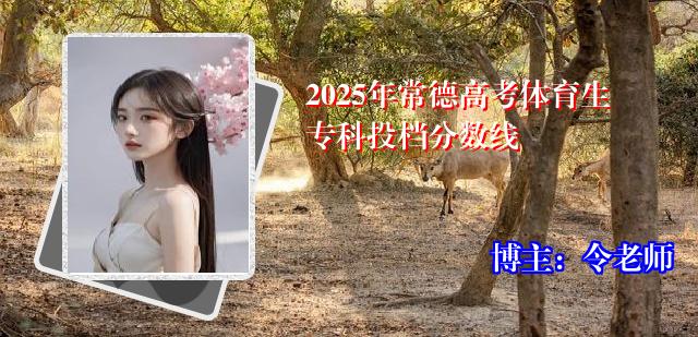 2025年常德高考体育生专科投档分数线