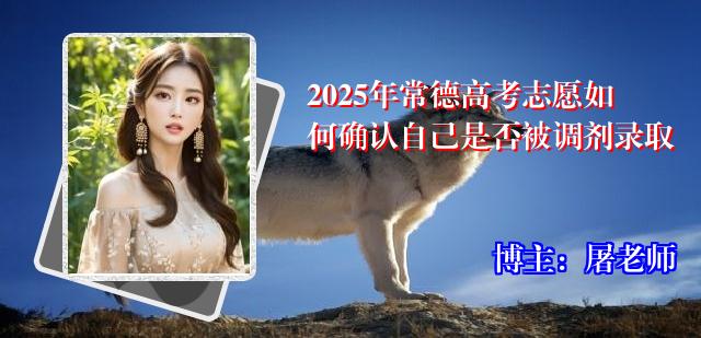 2025年常德高考志愿如何确认自己是否被调剂录取