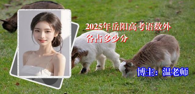 2025年岳阳高考语数外各占多少分