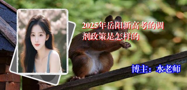 2025年岳阳新高考的调剂政策是怎样的