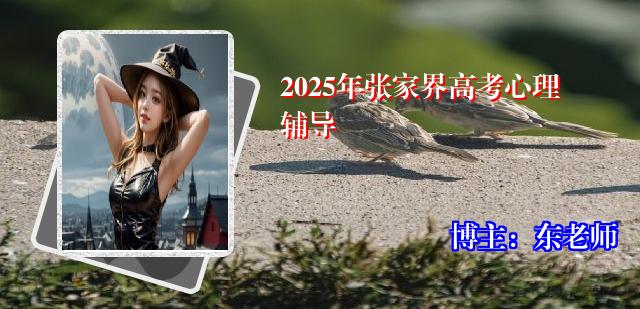 2025年张家界高考心理辅导