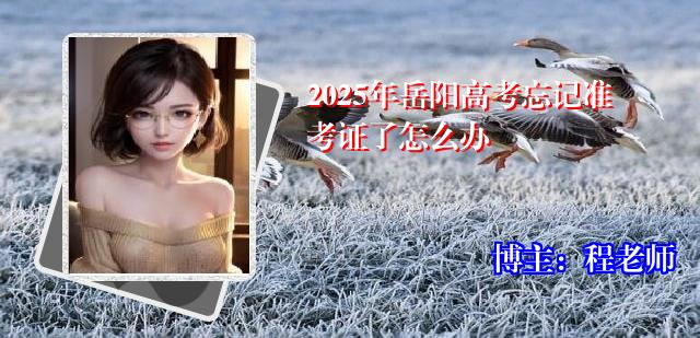 2025年岳阳高考忘记准考证了怎么办