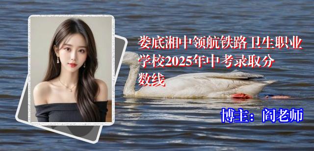 娄底湘中领航铁路卫生职业学校2025年中考录取分数线