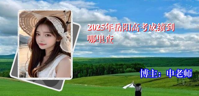 2025年岳阳高考成绩到哪里查