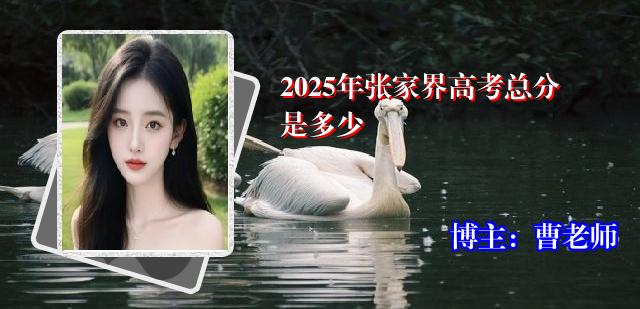 2025年张家界高考总分是多少