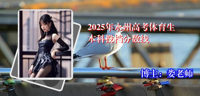 2025年永州高考体育生本科投档分数线