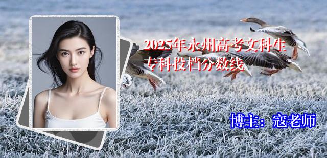 2025年永州高考文科生专科投档分数线