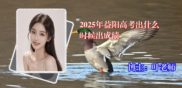 2025年益阳高考出什么时候出成绩