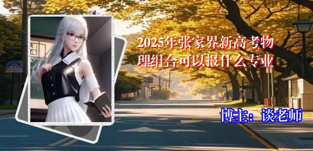 2025年张家界新高考物理组合可以报什么专业