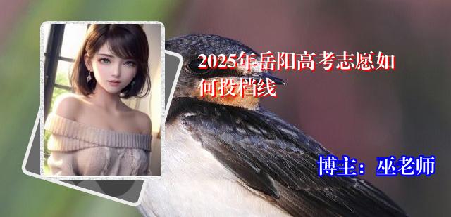 2025年岳阳高考志愿如何投档线