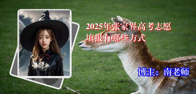 2025年张家界高考志愿填报有哪些方式