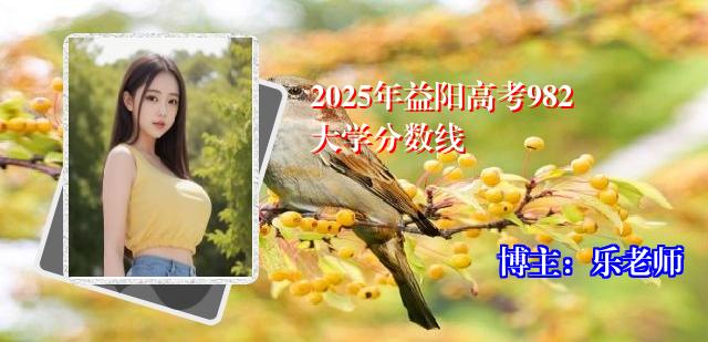 2025年益阳高考982大学分数线