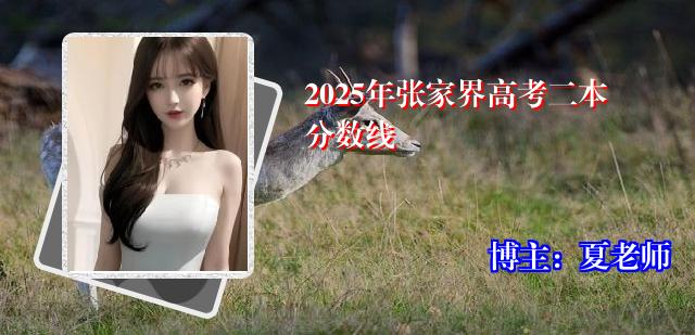 2025年张家界高考二本分数线