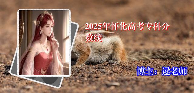 2025年怀化高考专科分数线