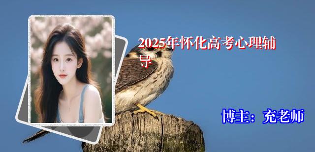 2025年怀化高考心理辅导