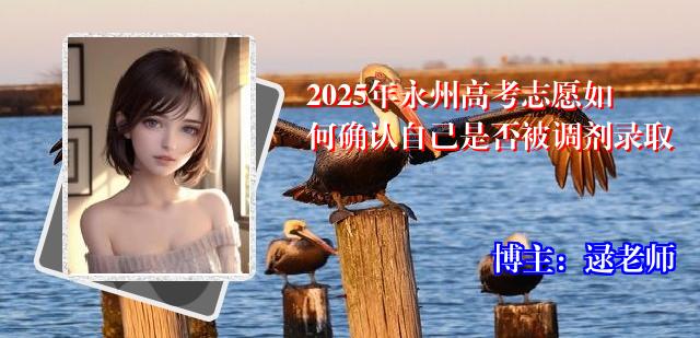 2025年永州高考志愿如何确认自己是否被调剂录取