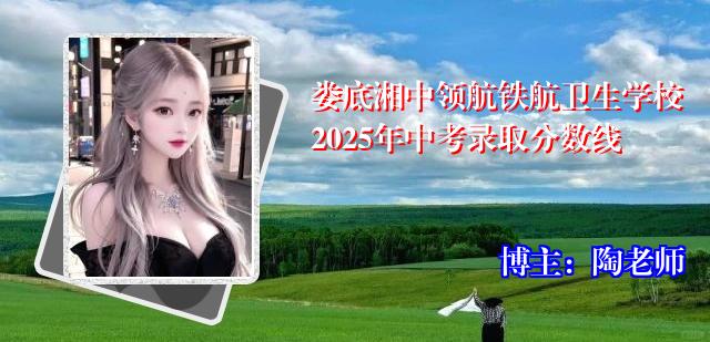 娄底湘中领航铁航卫生学校2025年中考录取分数线