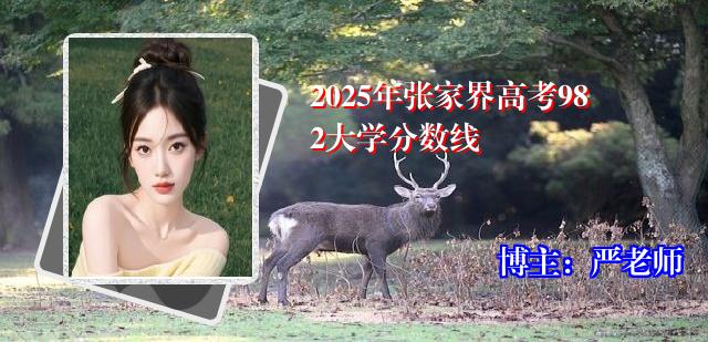 2025年张家界高考982大学分数线