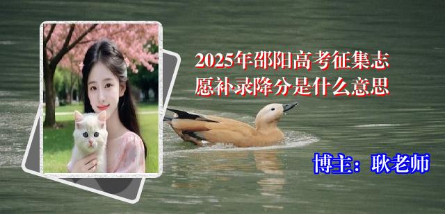 2025年邵阳高考征集志愿补录降分是什么意思