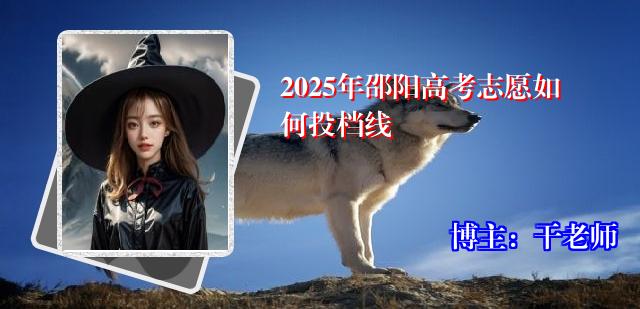 2025年邵阳高考志愿如何投档线