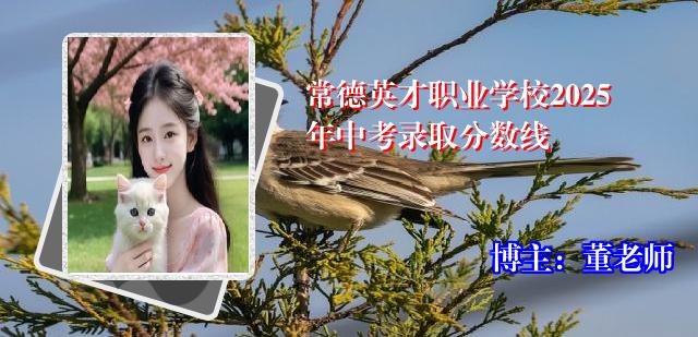 常德英才职业学校2025年中考录取分数线