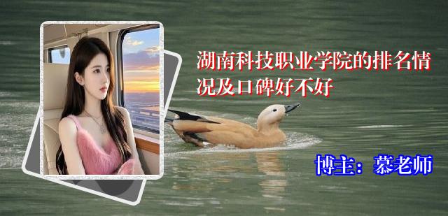 湖南科技职业学院的排名情况及口碑好不好