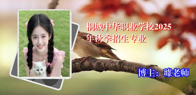 桐城中华职业学校2025年秋季招生专业