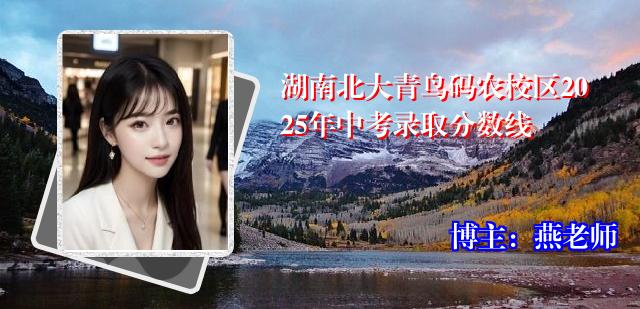湖南北大青鸟码农校区2025年中考录取分数线