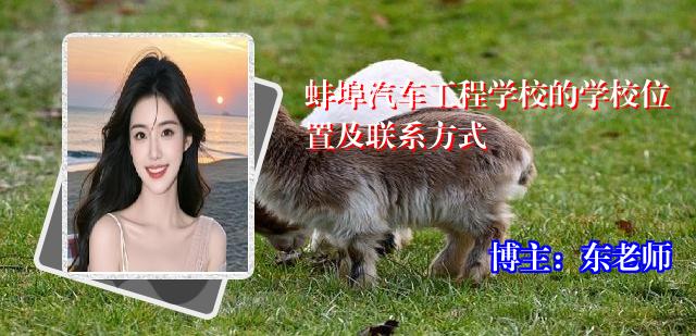 蚌埠汽车工程学校的学校位置及联系方式