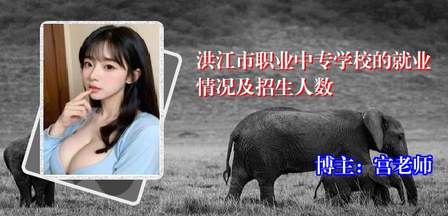 洪江市职业中专学校的就业情况及招生人数
