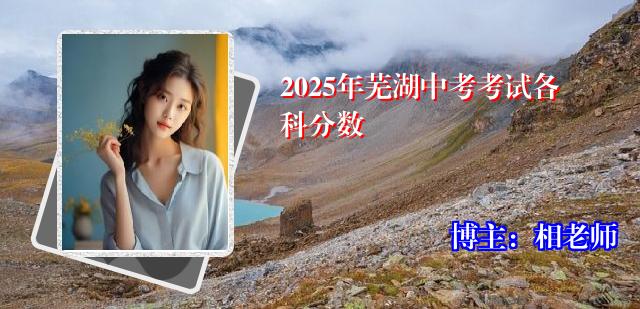 2025年芜湖中考考试各科分数