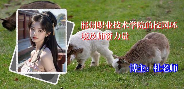 郴州职业技术学院的校园环境及师资力量