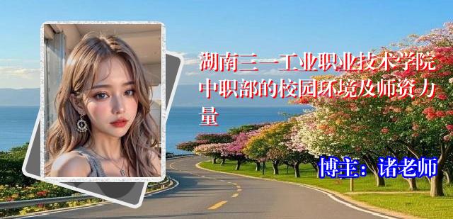 湖南三一工业职业技术学院中职部的校园环境及师资力量