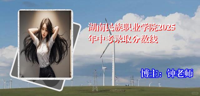 湖南民族职业学院2025年中考录取分数线