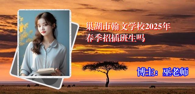 巢湖市翰文学校2025年春季招插班生吗