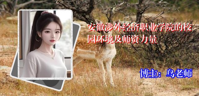 安徽涉外经济职业学院的校园环境及师资力量