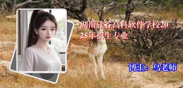 湖南硅谷高科软件学校2025年招生专业