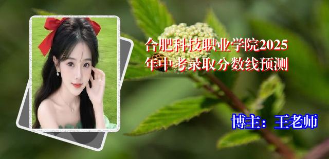 合肥科技职业学院2025年中考录取分数线预测