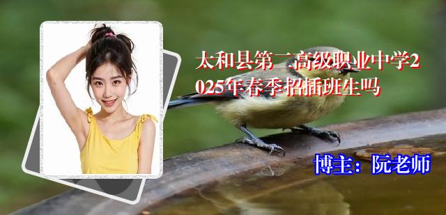 太和县第二高级职业中学2025年春季招插班生吗