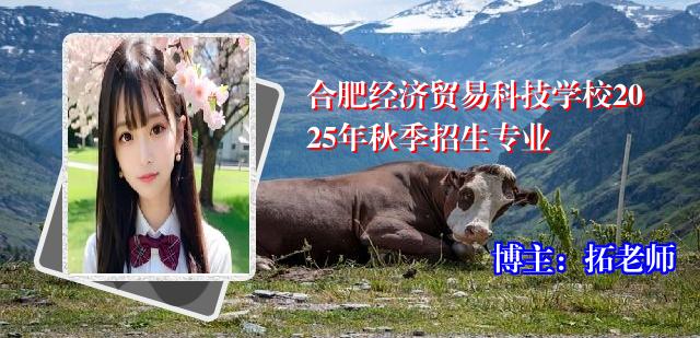 合肥经济贸易科技学校2025年秋季招生专业