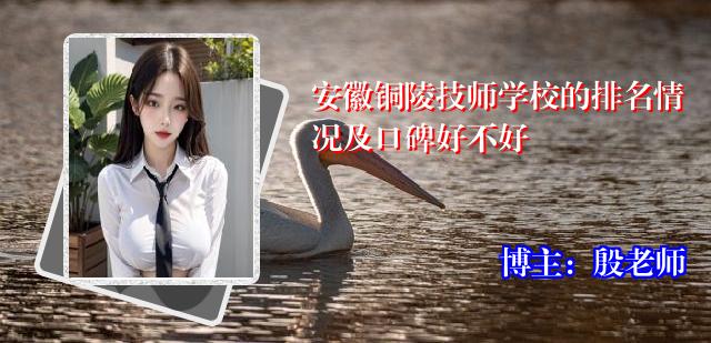 安徽铜陵技师学校的排名情况及口碑好不好