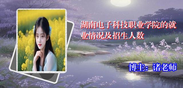 湖南电子科技职业学院的就业情况及招生人数